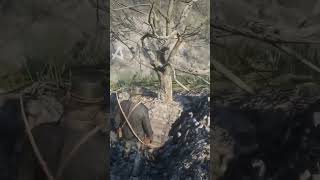 🔥 Un botín oculto de RED DEAD REDEMPTION 2 😱