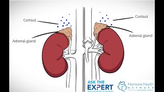 Ask The Expert Truth About Adrenal Fatigue