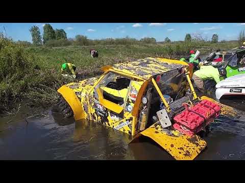 Видео: Ветка сакуры. Трофи. Рязань