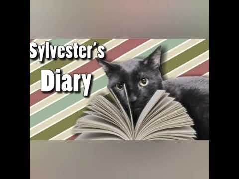 Top 6 Sylvester Moments - from Talking Kitty Cat