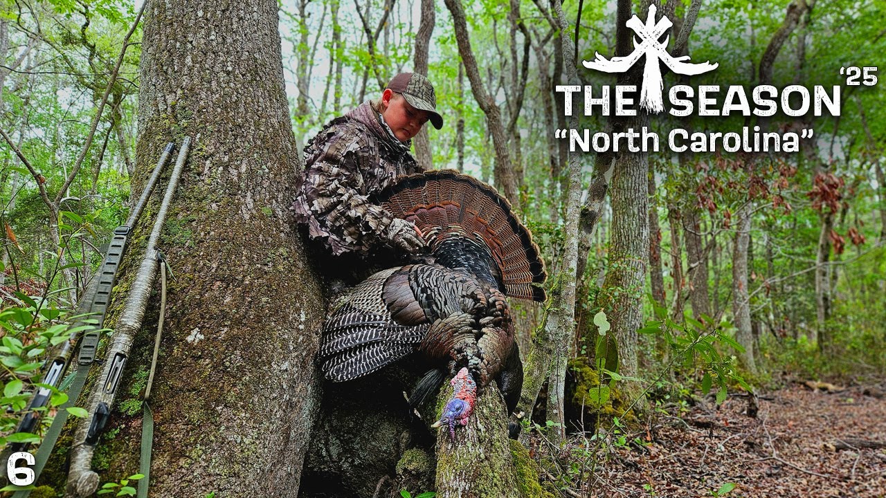 NORTH CAROLINA LONGBEARD FLIES INTO OUR LAPS! - YouTube