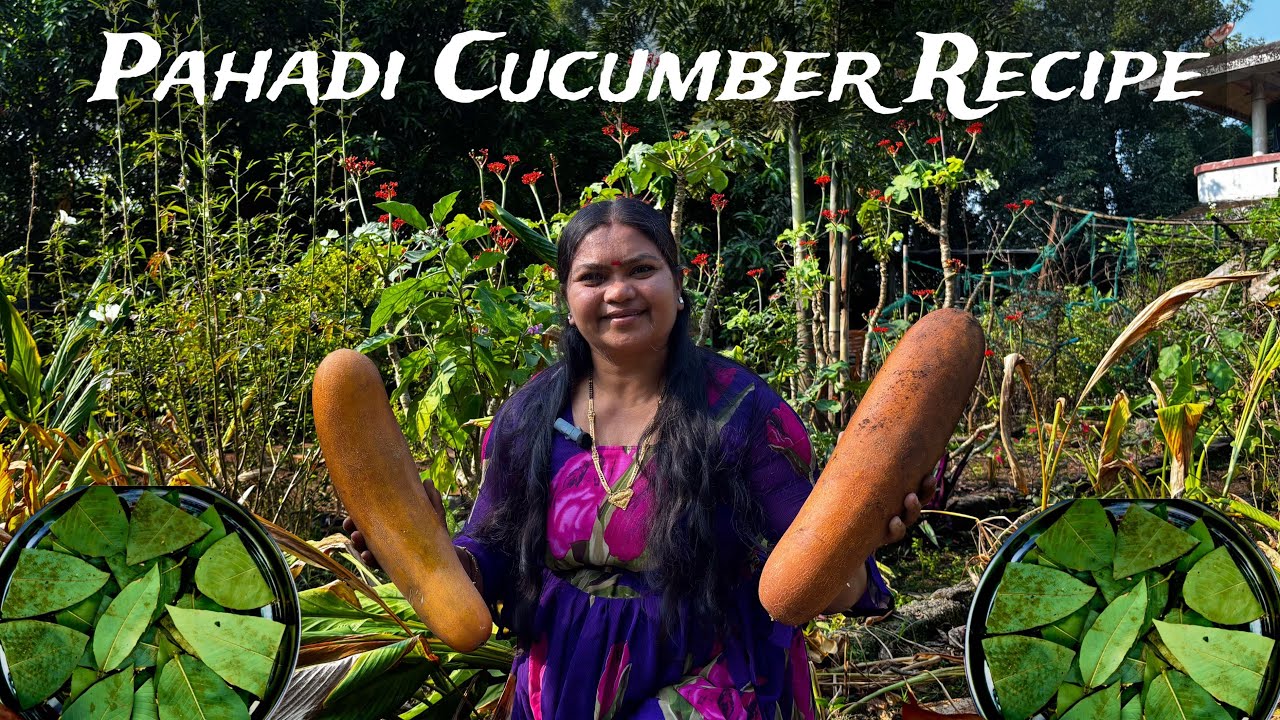 🥒Hill Cucumber“PANELA”Recipe | Tribal village food | पहाड़ी ककड़ी की रेसिपी