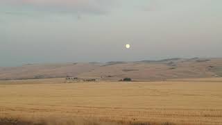 Confederated Tribes of Umatilla Indian Reservation & the Blue Mountains, Mission, Oregon