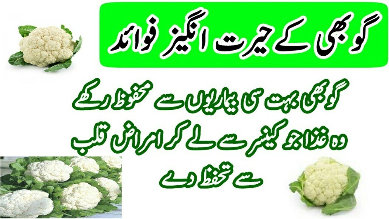 gobhi k fayde bandgobhi k fayde in urdu Health benefits of
