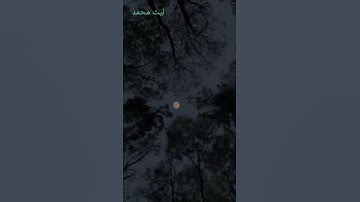 تلاوة تنسيك همومك 🎧🖤 . القارئ ليث محمد