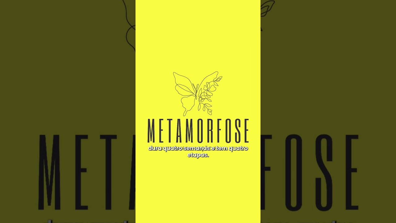 Metodo Metamorfose  - vídeo comercial e criativo