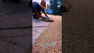 Exposed Aggregate Finish