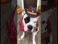 Giddy Up Cowgirl Luna‼️ Join us~ www.skool.com/create-to-elevate-1080