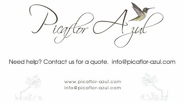 Easy Help Zen Cart Tutorial: How to Decrease All Prices in Your Store Globally