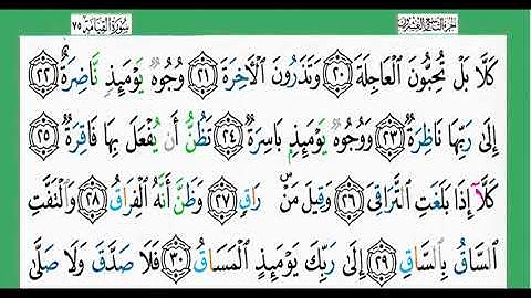 75-سورة القيامة/القارئ الشيخ الزين محمد أحمد "alqari Sheikh Al-Zain Muhammad Ahmed