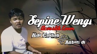 SEPINE WENGI || VIVI VOLETHA || LIVE ACOUSTIC COVER ANSORI DB AND ALDO CAKNAN