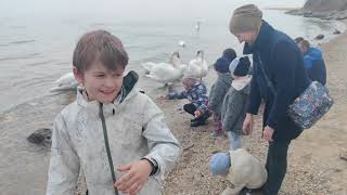 Одесса область 2023 Море Рынок Черноморск Утренний аля Привоз еще ночью бомбили и дети поют