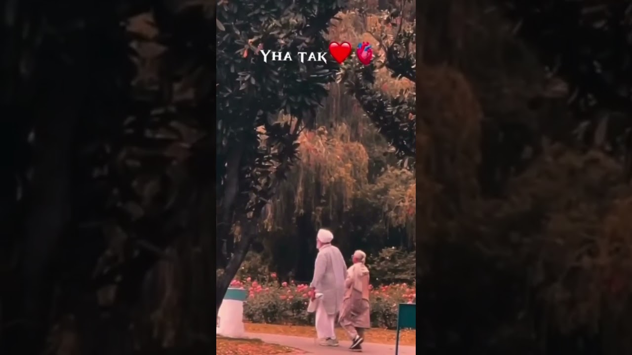 ♥️ Love #ytshorts #love