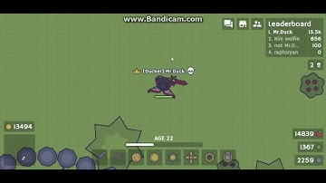 Getting a Ruby Bow in Moomoo.io.
