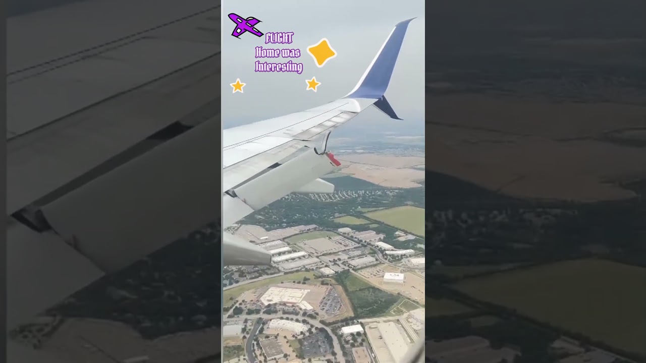 That was a super interesting flight back home! 