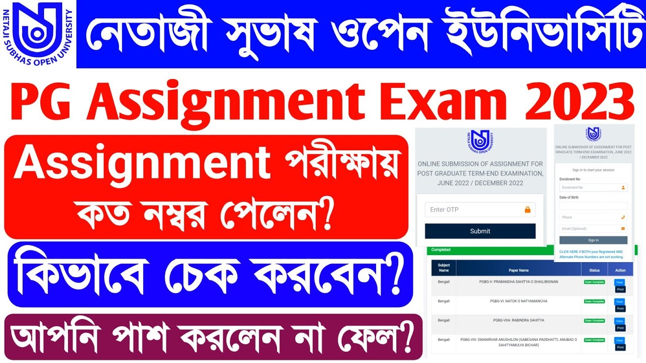 pg assignment answer nsou