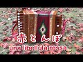 赤とんぼ-una libellula rossa♫ 南イタリアの伝統楽器ORGANETTO-オルガネット, Diatonic Accordion（ダイアトニックアコーディオン）,ボタンアコ, ミニアコ