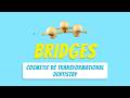 Dental Bridges Explained When a Bridge Is the Right Call &amp; What You Need to Know Before You Decide