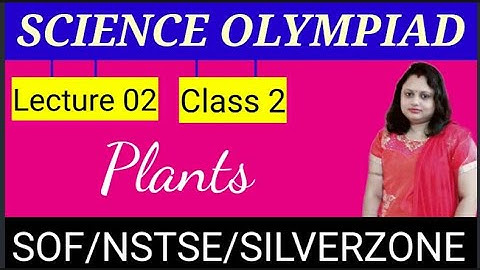 Science Olympiad | Class 2 | Plants 02