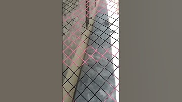 Pink string in Yonex badminton racket #shorts #badminton