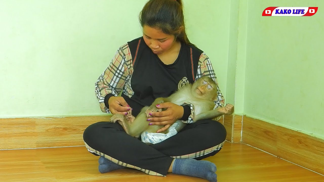 Smart Little Kako Sweet Sleeping On Mom Lap