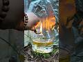 Dark Wilderness? Turn Plastic Bottles into a Survival Lamp! #campping #bushcraft #experiment