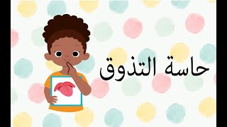 حاسة التذوق