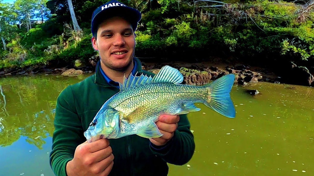 BIG Wild Australian BASS on Natural Structure! | NO ELECTRONICS