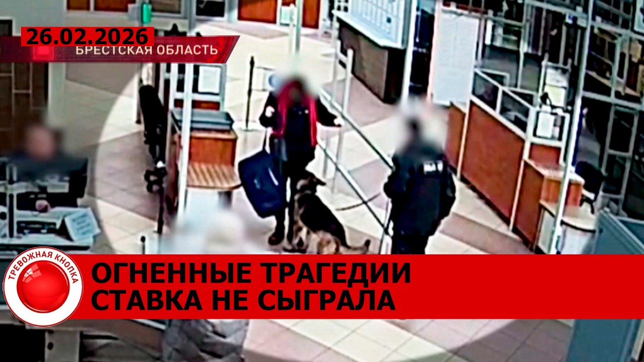 Служебная собака среагировала на мужчину; странный прохожий оказался с сюрпризом; пьяный гонщик