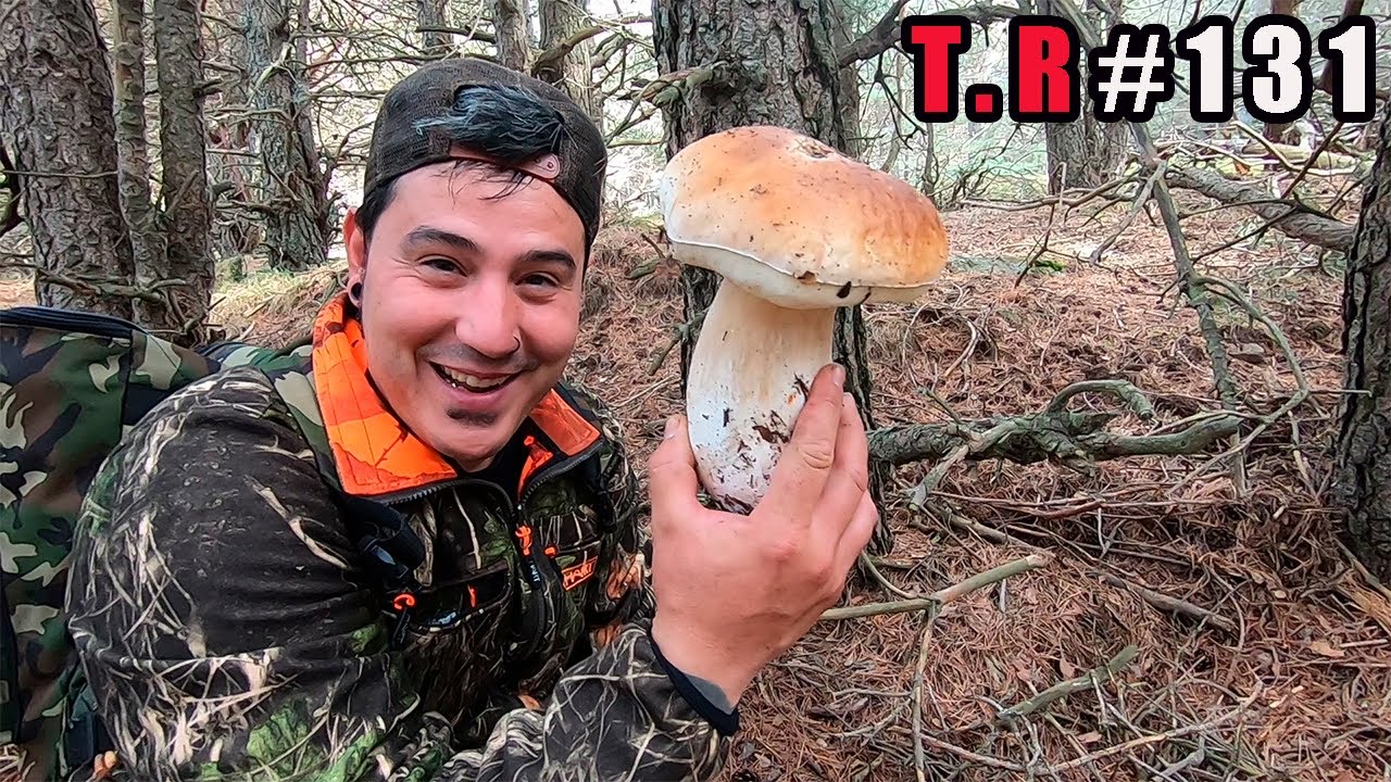 ⚠️QUEDADA MICOLOGICA DE YOUTUBERS Y SUSCRIPTORES🤭(SIERRA DE MADRID 2021)