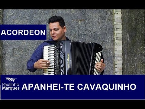 Acordeon - Apanhei-te Cavaquinho - YouTube