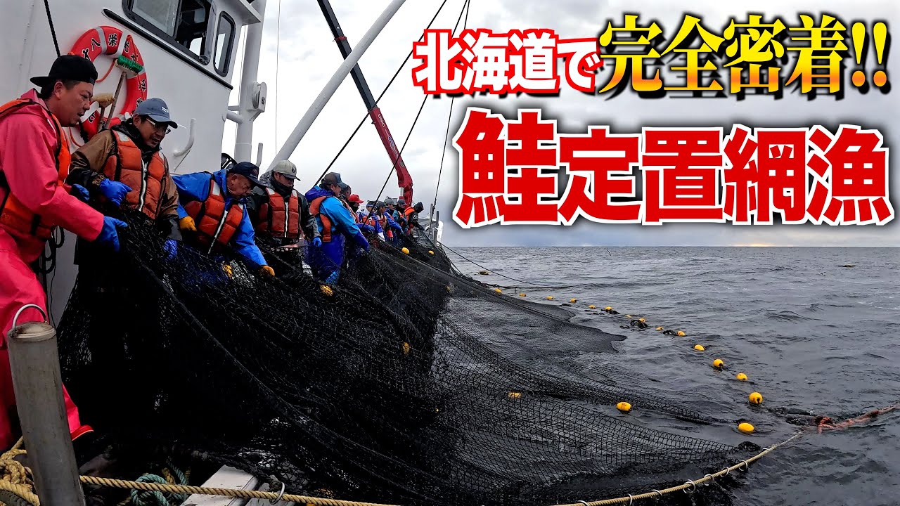 Японская ловля лосося ставными сетями