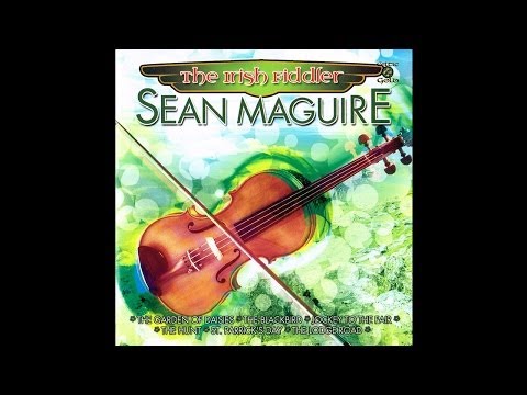 Sean Maguire - The Blackbird [Audio Stream]