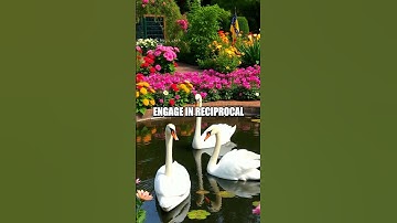 The Science of Reciprocity in Romantic Relationships