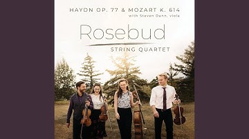 String Quartet in F Major, Op. 77, No. 2, Hob.III:82 "Lobkowitz": II. Minuet. Presto - Trio