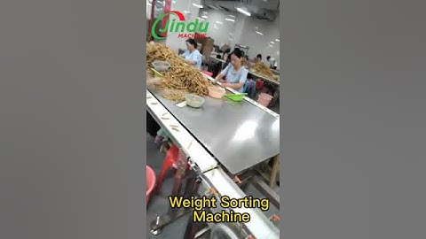 What Makes This Weighing Sorting Machine So Accurate?