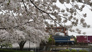 74レ EF65 2086[新]+コキ