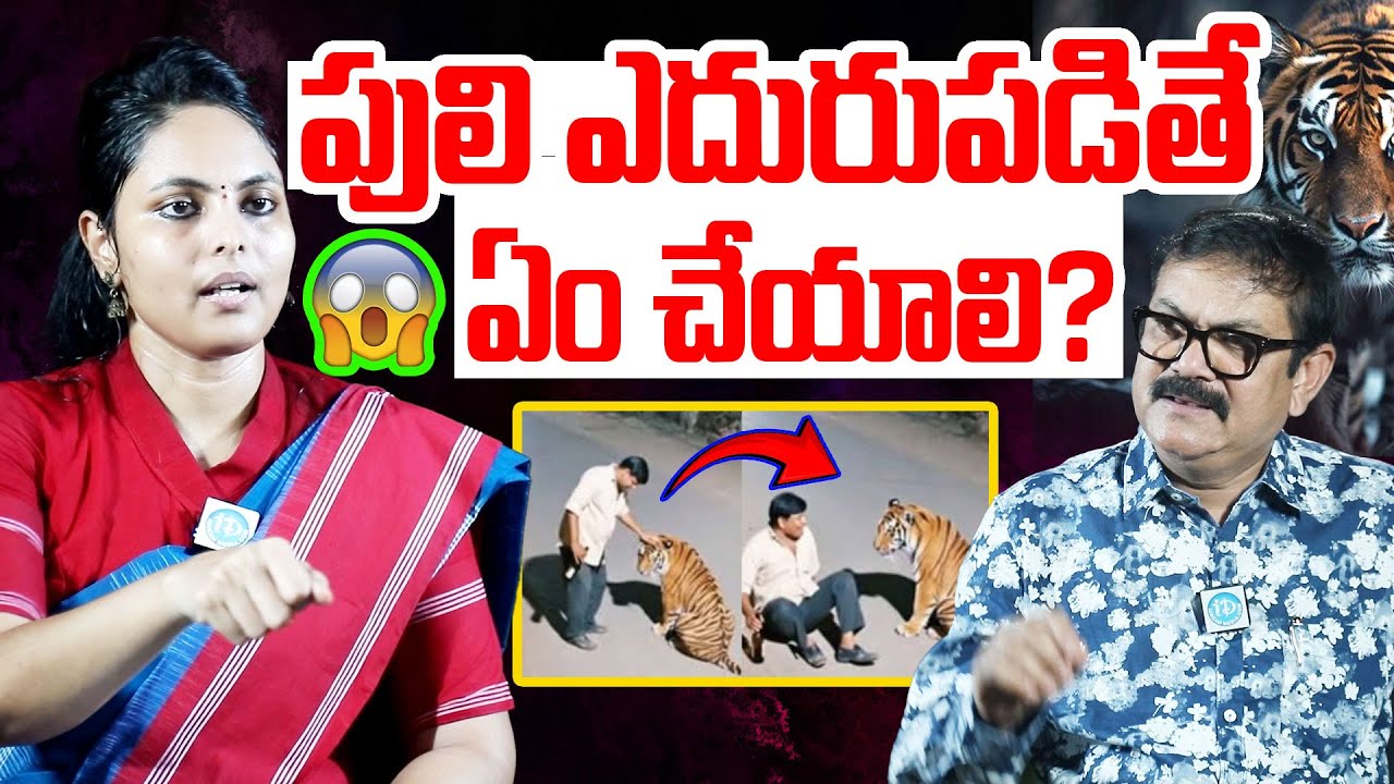 పులి ఎదురుపడితే ఏం చేయాలి? | Swetha Boddu, IFS D.F.O. Chandrapur, MH | Interview |  Tiger | iDream