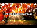 ТЕЛЕЦ - ТАРО прогноз на ОКТЯБРЬ