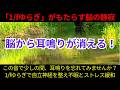 【耳鳴り音響療法】脳から耳鳴りを消す音!「1/fゆらぎ」が不眠・ストレスを和らげる