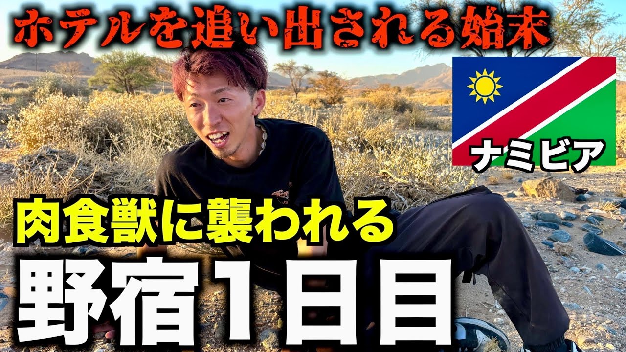 【アフリカ】肉食動物が蔓延る世界で１日過ごしたらマジで肉食動物が。。