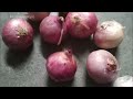 देखलो यही होता है कच्चा प्याज़ खाने से  II Health Benefit of eating Raw Onion