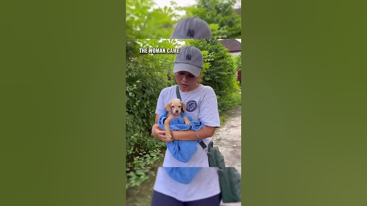 Most Heartwarming Rescue Story Ever!