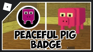 HOW TO GET PEACEFUL PIG BADGE IN PIGGY RP [W.I.P] | How to get BABY GURT MORPH in Piggy RP WIP