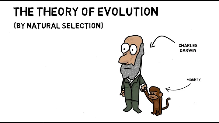The Theory of Evolution (by Natural Selection) | Cornerstones Education