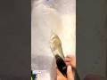 Deep Cleaning Shoe Insoles Using High-Pressure Water Nozzle – Satisfying Dirt Removal Process!
