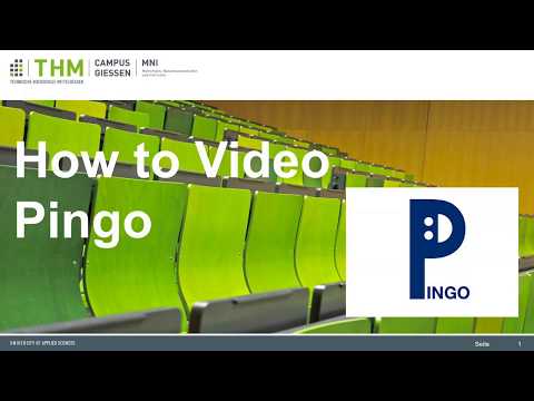 PINGO - How To Video