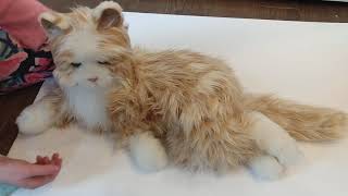 Hasbro Joy for All Tabby Cat B7592 Lifelike Robotic Cat by Christina Claxton 1,093 views 3 years ago 2 minutes, 9 seconds
