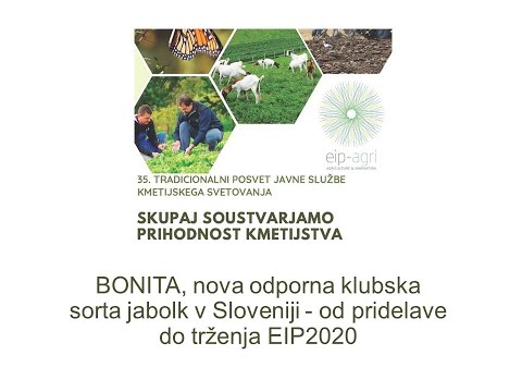 BONITA, nova odporna klubska sorta jabolk v Sloveniji od pridelave do trženja EIP 2020