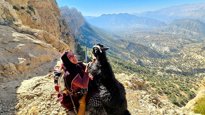 🐐 Deadly Cliffs and a Rescue: ⛰️A Dangerous Quest on the Highest and Most Stunning Peak